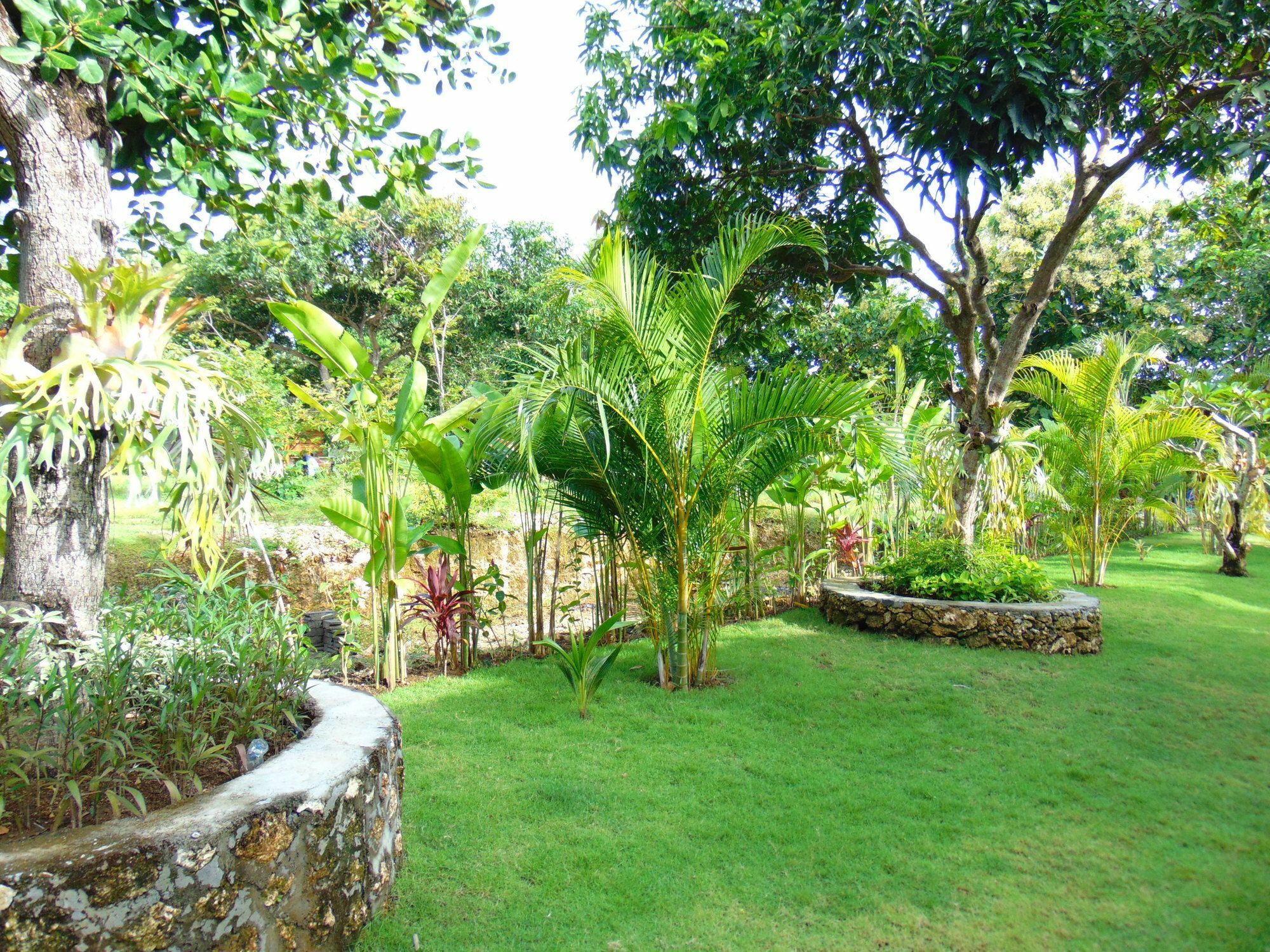 Arumanis Homestay Pecatu Exteriör bild